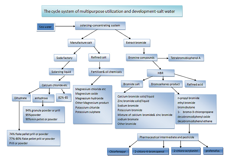 The cycle system of multipurpose utilization and development-salt water